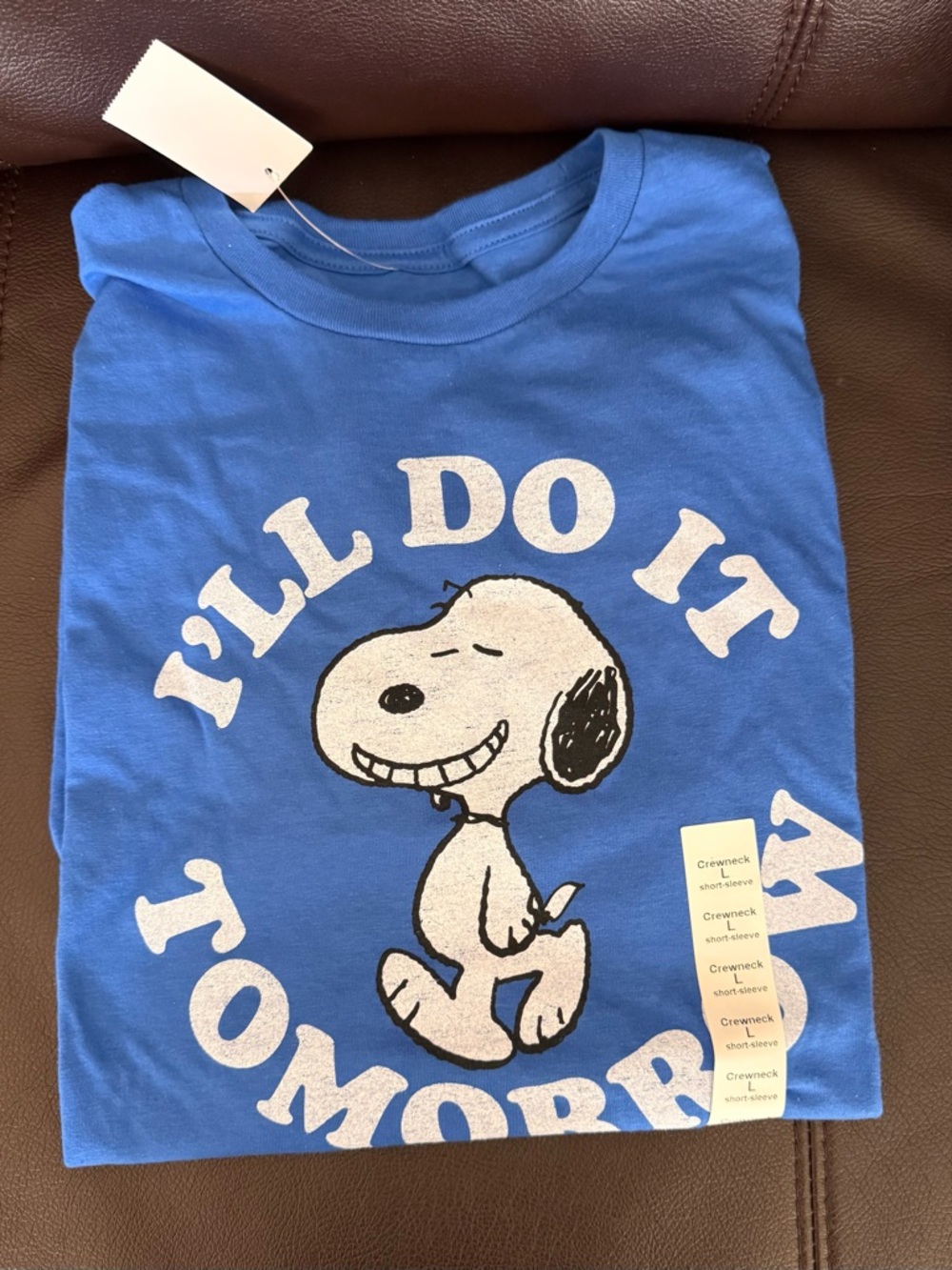 Snoopy Peanuts I'll Do It Tomorrow' Blue Mens Tee Size Large New with Tqgs